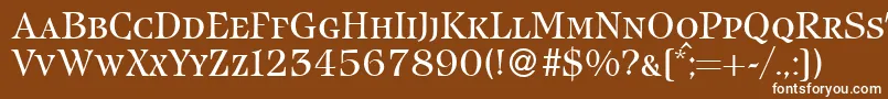 IcebergsmcRegularDb Font – White Fonts on Brown Background