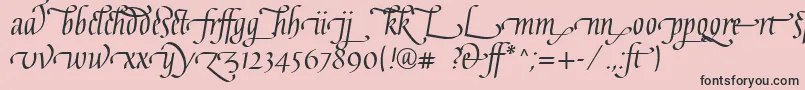 フォントGaiusLtRegularLigatures – ピンクの背景に黒い文字