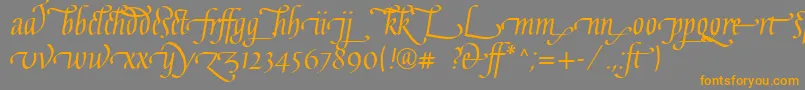 フォントGaiusLtRegularLigatures – オレンジの文字は灰色の背景にあります。