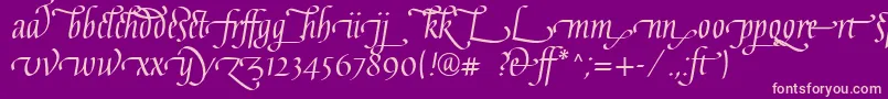 GaiusLtRegularLigatures Font – Pink Fonts on Purple Background