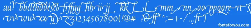 GaiusLtRegularLigatures Font – White Fonts on Blue Background