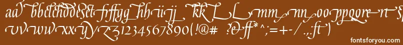 フォントGaiusLtRegularLigatures – 茶色の背景に白い文字