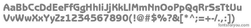 ExpressDecoGothicblackSsiBlack Font – Gray Fonts on White Background