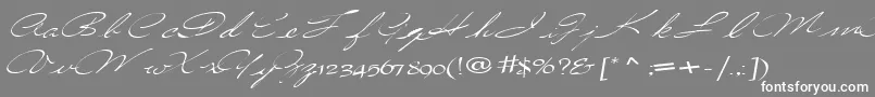CountryRegular Font – White Fonts on Gray Background