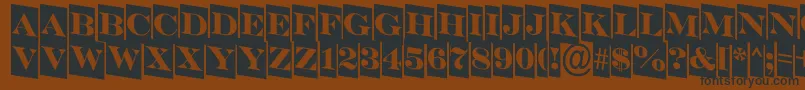 SerifertitulcmdnRegular Font – Black Fonts on Brown Background