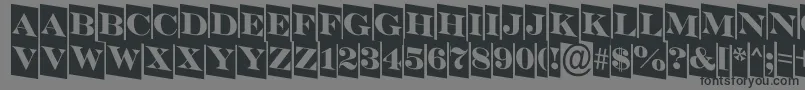 SerifertitulcmdnRegular Font – Black Fonts on Gray Background