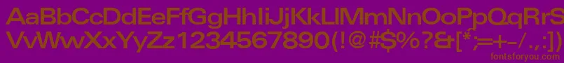 UniversalexbdbNormal Font – Brown Fonts on Purple Background