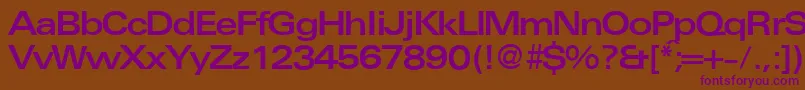 UniversalexbdbNormal Font – Purple Fonts on Brown Background