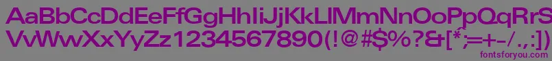 UniversalexbdbNormal Font – Purple Fonts on Gray Background