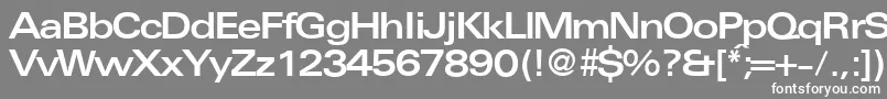 フォントUniversalexbdbNormal – 灰色の背景に白い文字