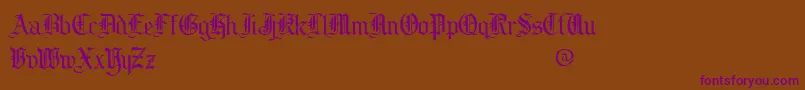 CollinsOeDemo-Schriftart – Violette Schriften auf braunem Hintergrund