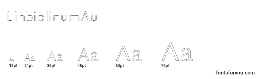 LinbiolinumAu Font Sizes