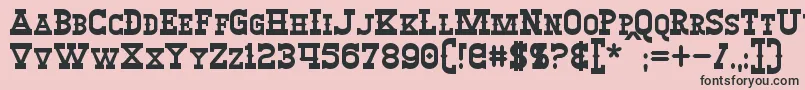 WinslettBold Font – Black Fonts on Pink Background