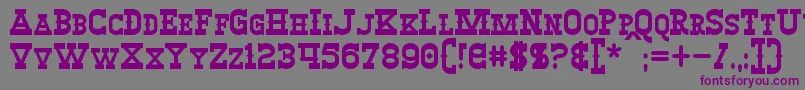 WinslettBold-fontti – violetit fontit harmaalla taustalla