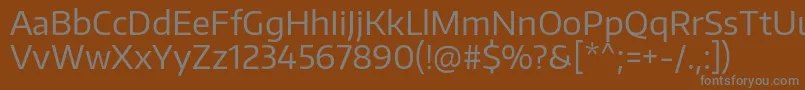 Шрифт EncodesansRegular – серые шрифты на коричневом фоне