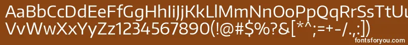 EncodesansRegular Font – White Fonts on Brown Background