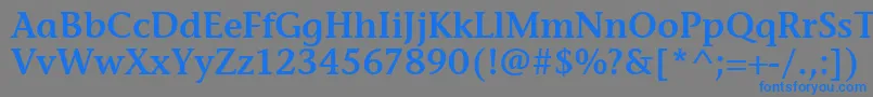 StoneInfSemItcTtSemi Font – Blue Fonts on Gray Background