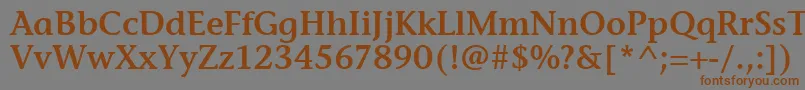 フォントStoneInfSemItcTtSemi – 茶色の文字が灰色の背景にあります。