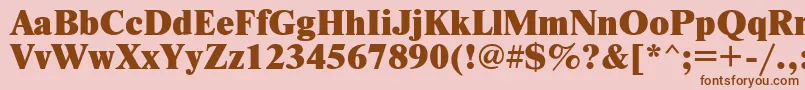 NewtonxcRegular Font – Brown Fonts on Pink Background