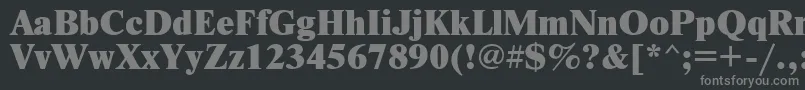 Шрифт NewtonxcRegular – серые шрифты на чёрном фоне