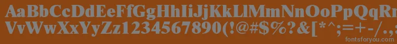 フォントNewtonxcRegular – 茶色の背景に灰色の文字