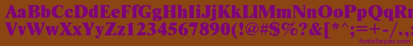 NewtonxcRegular Font – Purple Fonts on Brown Background