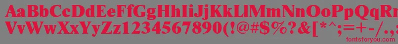 NewtonxcRegular Font – Red Fonts on Gray Background