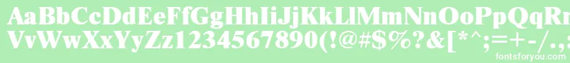 NewtonxcRegular Font – White Fonts on Green Background