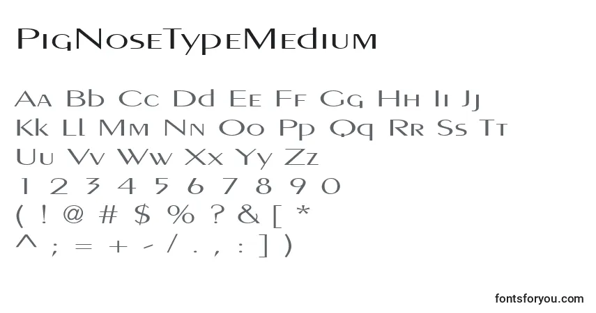 A fonte PigNoseTypeMedium – alfabeto, números, caracteres especiais