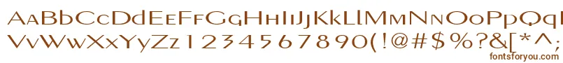 PigNoseTypeMedium-fontti – ruskeat fontit valkoisella taustalla