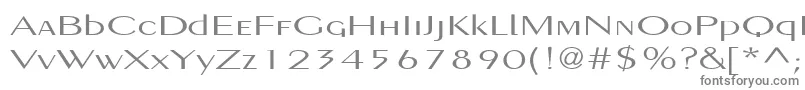 PigNoseTypeMedium Font – Gray Fonts