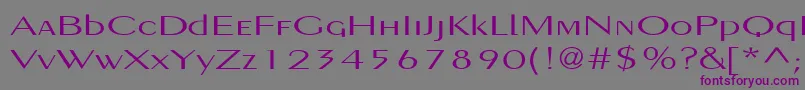 Шрифт PigNoseTypeMedium – фиолетовые шрифты на сером фоне