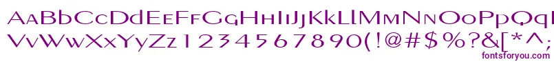 PigNoseTypeMedium-Schriftart – Violette Schriften auf weißem Hintergrund