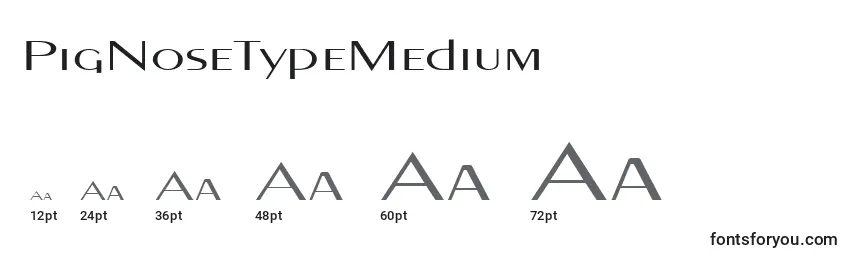 PigNoseTypeMedium Font Sizes