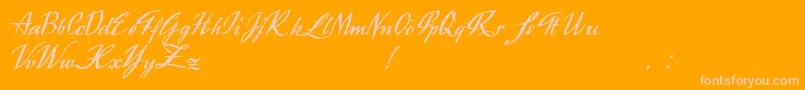 Exclusivite Font – Pink Fonts on Orange Background