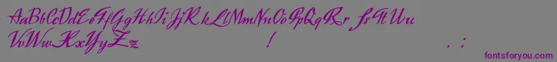 Exclusivite-fontti – violetit fontit harmaalla taustalla