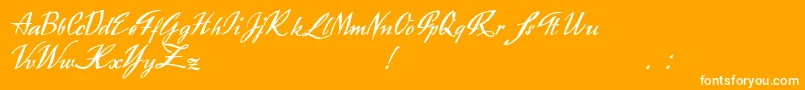 Exclusivite-Schriftart – Weiße Schriften auf orangefarbenem Hintergrund