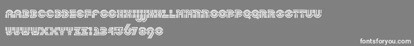 LabyrinthLtRegular Font – White Fonts on Gray Background