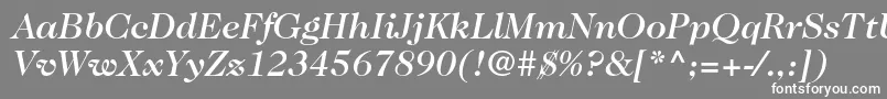 Caslon224stdMediumitalic Font – White Fonts on Gray Background