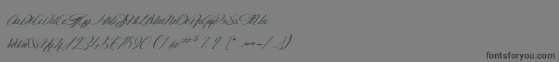 TheGoldenFlower Font – Black Fonts on Gray Background