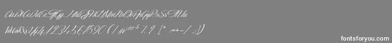 フォントTheGoldenFlower – 灰色の背景に白い文字