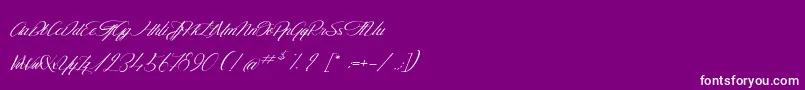 TheGoldenFlower Font – White Fonts on Purple Background