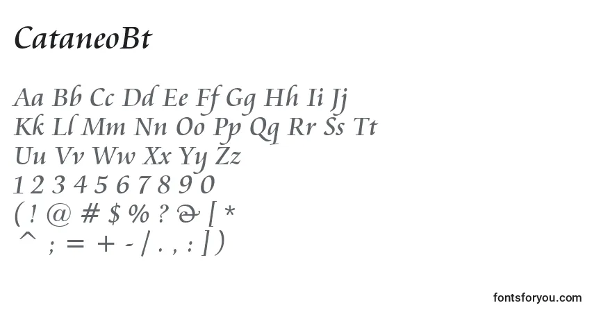 Шрифт CataneoBt – алфавит, цифры, специальные символы