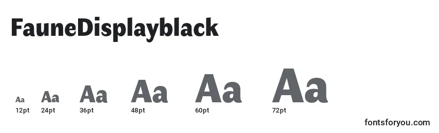 FauneDisplayblack (110888) Font Sizes