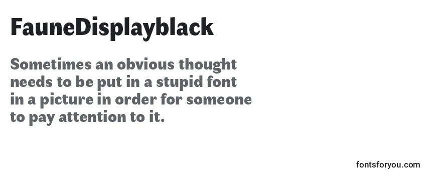 Review of the FauneDisplayblack (110888) Font