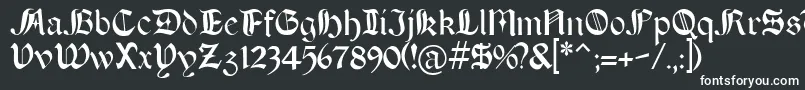 Boeretudor Font – White Fonts on Black Background