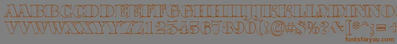 BodoniortotitulshBlack Font – Brown Fonts on Gray Background