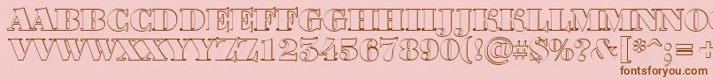 BodoniortotitulshBlack Font – Brown Fonts on Pink Background