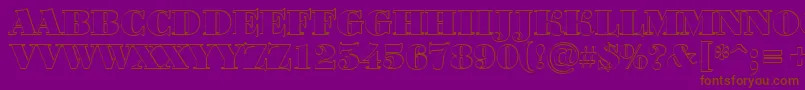 BodoniortotitulshBlack Font – Brown Fonts on Purple Background