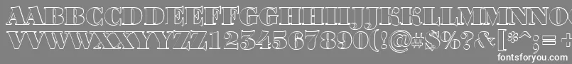 フォントBodoniortotitulshBlack – 灰色の背景に白い文字